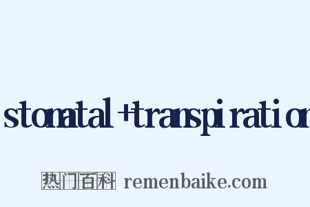 stomatal transpiration是什么意思的图片